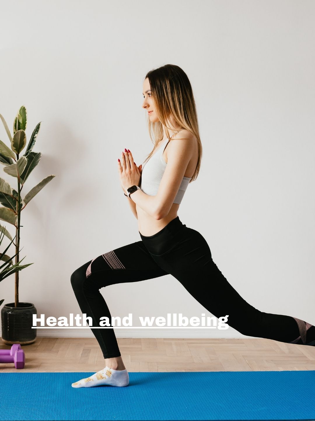 Menopause and woman’s wellbeing