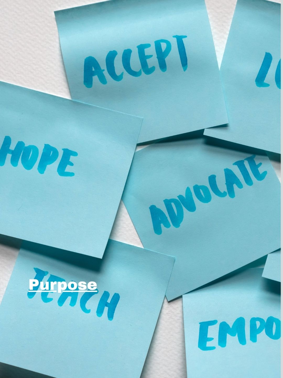 Purpose